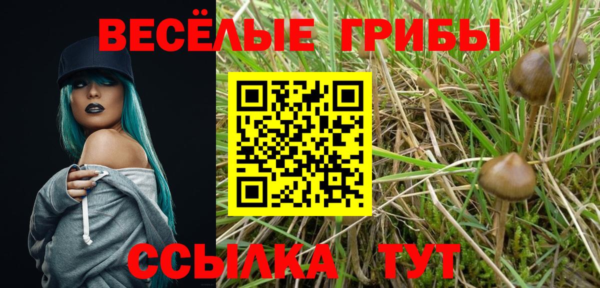 Канаш  Псилоцибиновые грибы GOLDEN TEACHER  Вход с VPN 