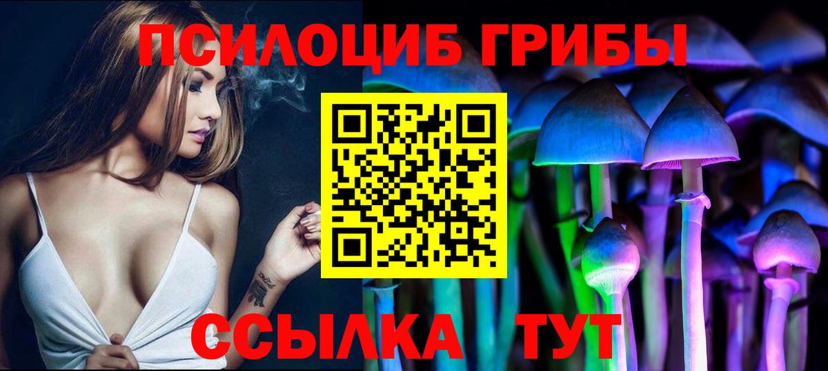 Псилоцибиновые грибы прущие грибы Канаш