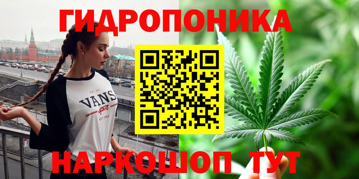 Каннабис конопля Канаш